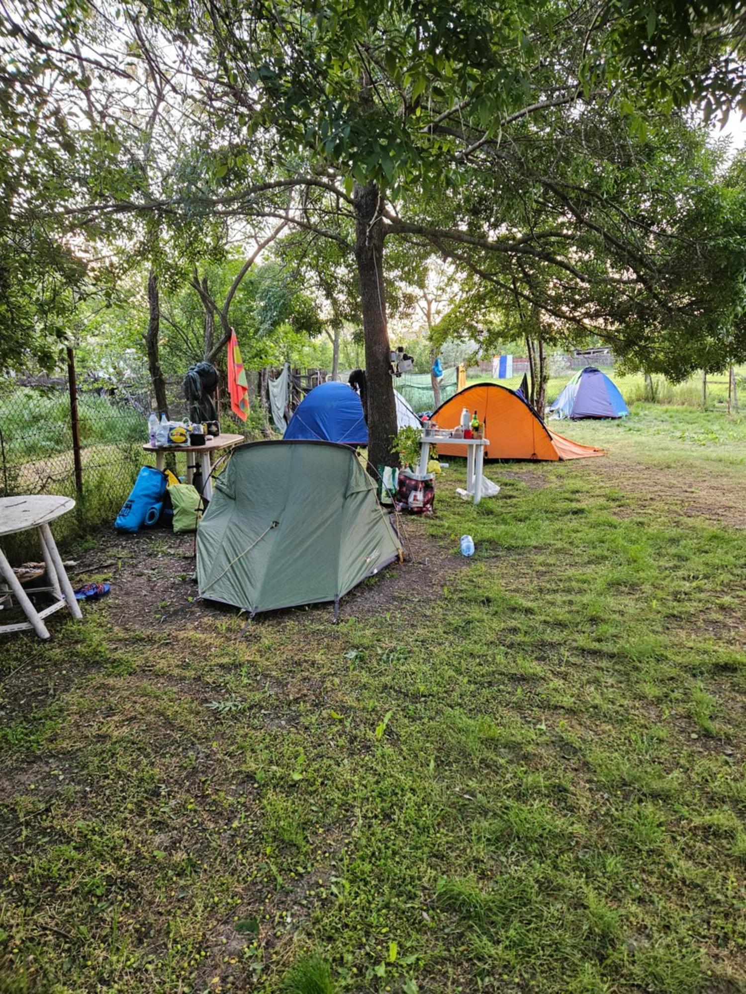 Hotel Camping Casuta Mihaela Crisan  Habitación foto